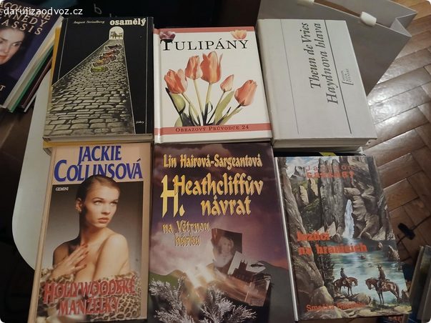 balik knih. knihy jsou ve vybornem stavu, stazeny z prodeje, zabelny v bedne, pokud mate zajem odeslu balikovnou 99, kuryr na adresu 150