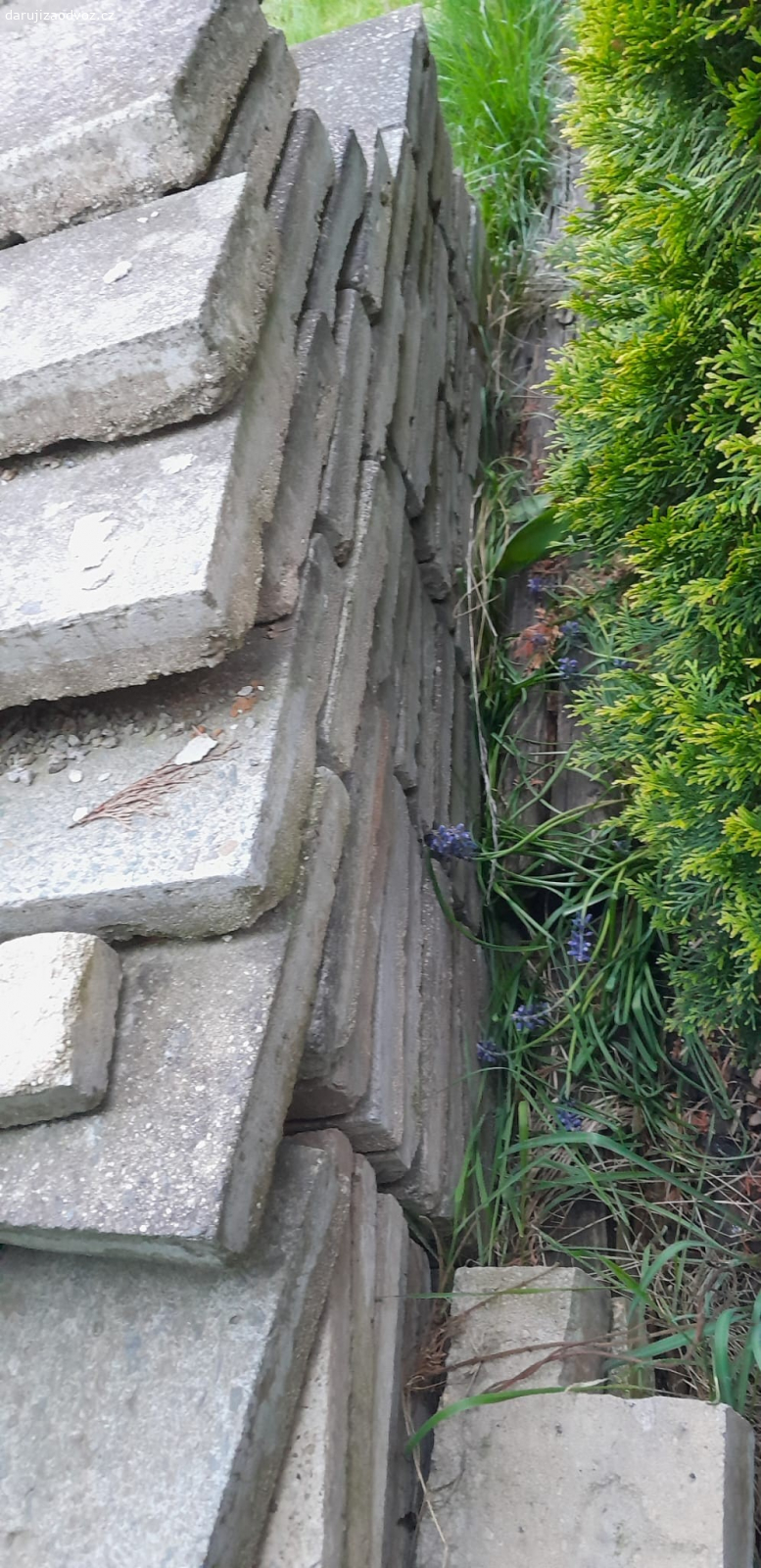 Betonová dlažba 30x30. Cca 150ks tloušťka Cca 5cm