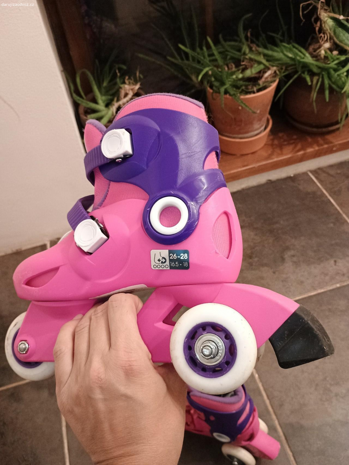 Brusle. Pánské lední brusle v.41, dětské lední brusle v.26-28, dětské kolečkové brusle v.26-28.

Dětské lední brusle jsou použité 3 krát, kolečkové brusle asi 6 krát. Chlapecké brusle jsou použité jednu zimní sezónu.