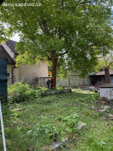 Darujeme dřevo z ořechu