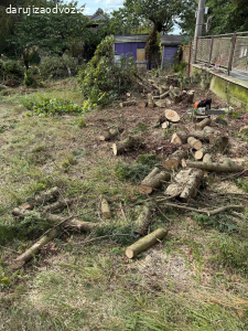 Darujeme dřevo z ořechu