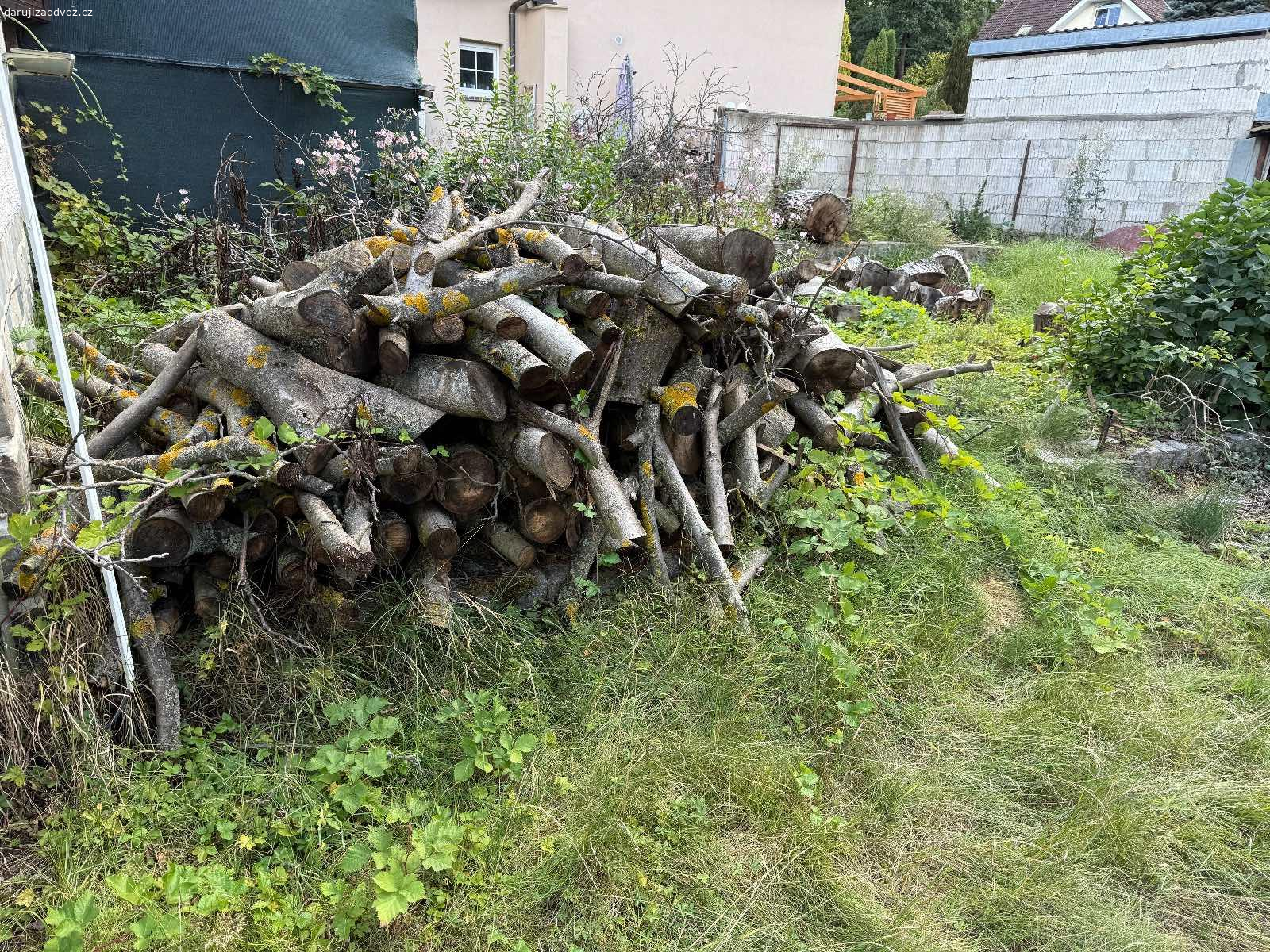 Darujeme dřevo z ořechu. Darujeme dřevo, které je pokáceného ořechu viz. Foto.

❗️PODMÍNKOU ODVOZU JE LIKVIDACE VŠECH VĚTVÍ❗️

Zároveň darujeme dřevo i z pokácených tůjí a ovocných stromů. 

Dřevo je rozřezáno na menší kusy.