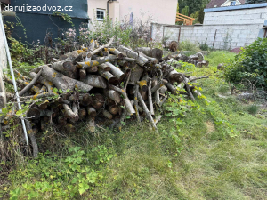 Darujeme dřevo z ořechu