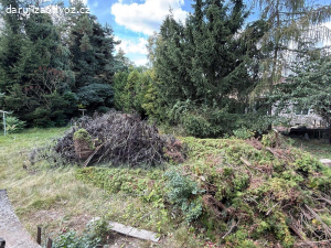 Darujeme dřevo z ořechu