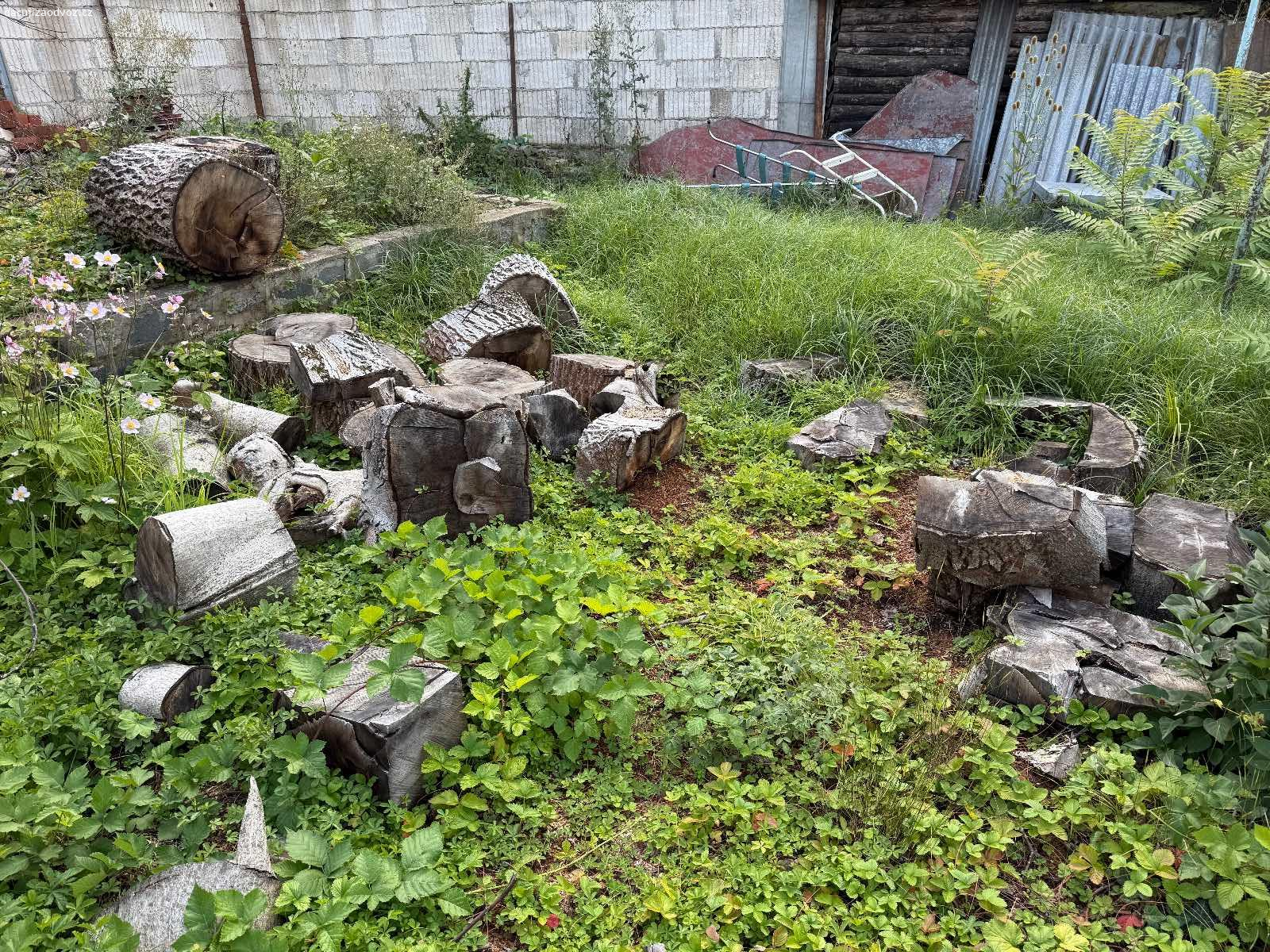 Darujeme dřevo z ořechu. Darujeme dřevo, které je pokáceného ořechu viz. Foto.

❗️PODMÍNKOU ODVOZU JE LIKVIDACE VŠECH VĚTVÍ❗️

Zároveň darujeme dřevo i z pokácených tůjí a ovocných stromů. 

Dřevo je rozřezáno na menší kusy.