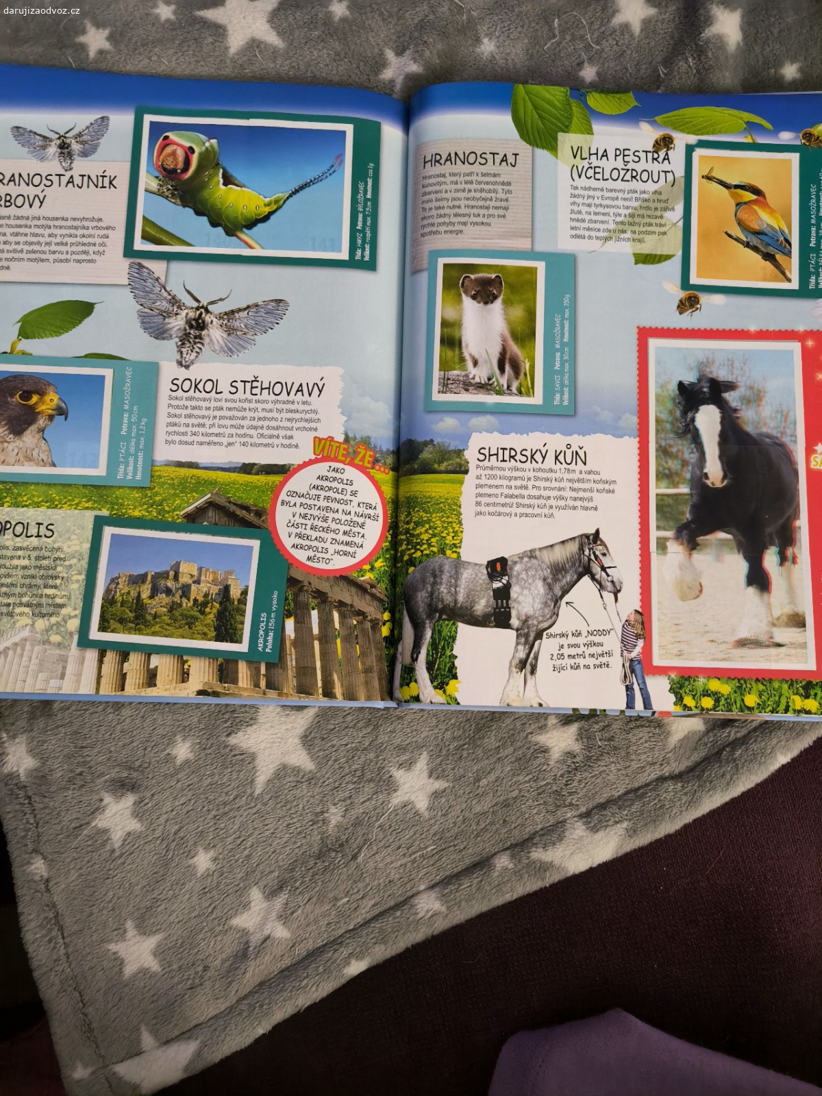 daruji 3 sběratelská alba. jedno je s kartičkami a dvě se samolepkami, všechny by měly být kompletní