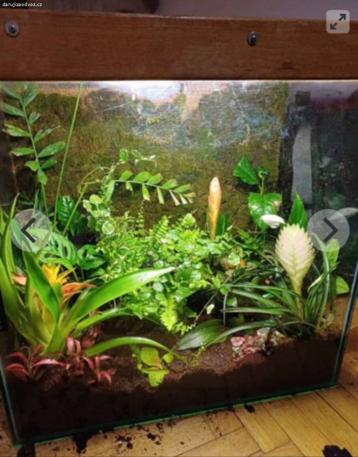Daruji Akvárium Florarium Terárium