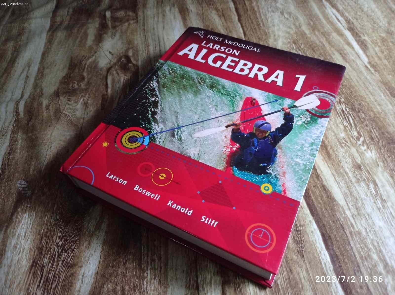 Daruji anglickou učebnici matiky Algebra 1. Algebra 1 McDougal Larson je standardně používaná pro výuku na středních školách USA. Učebnice je nová.  Kontakt jen přes WhatsApp.