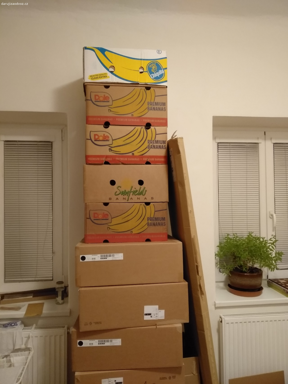 Daruji banánové (a jiné) krabice. Klasické banánové krabice (10 ks) + papírové krabice od IKEA židlí (6ks, 61x50x22 cm).
