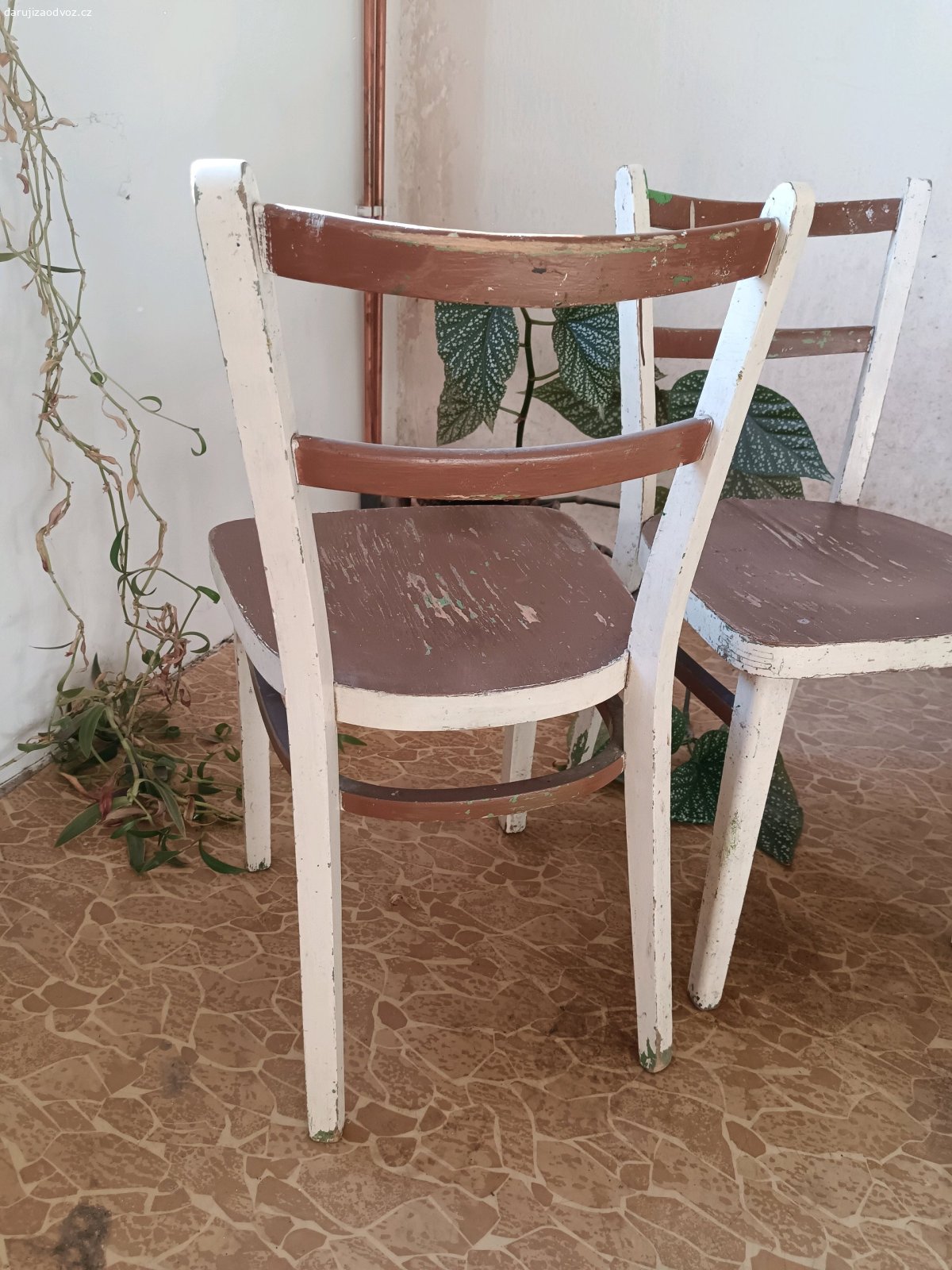 Daruji dětské židličky. Daruji za odvoz dřevěné dětské židličky. Vhodné k renovaci nebo jako retro dekorace. Celková výška 63 cm.
