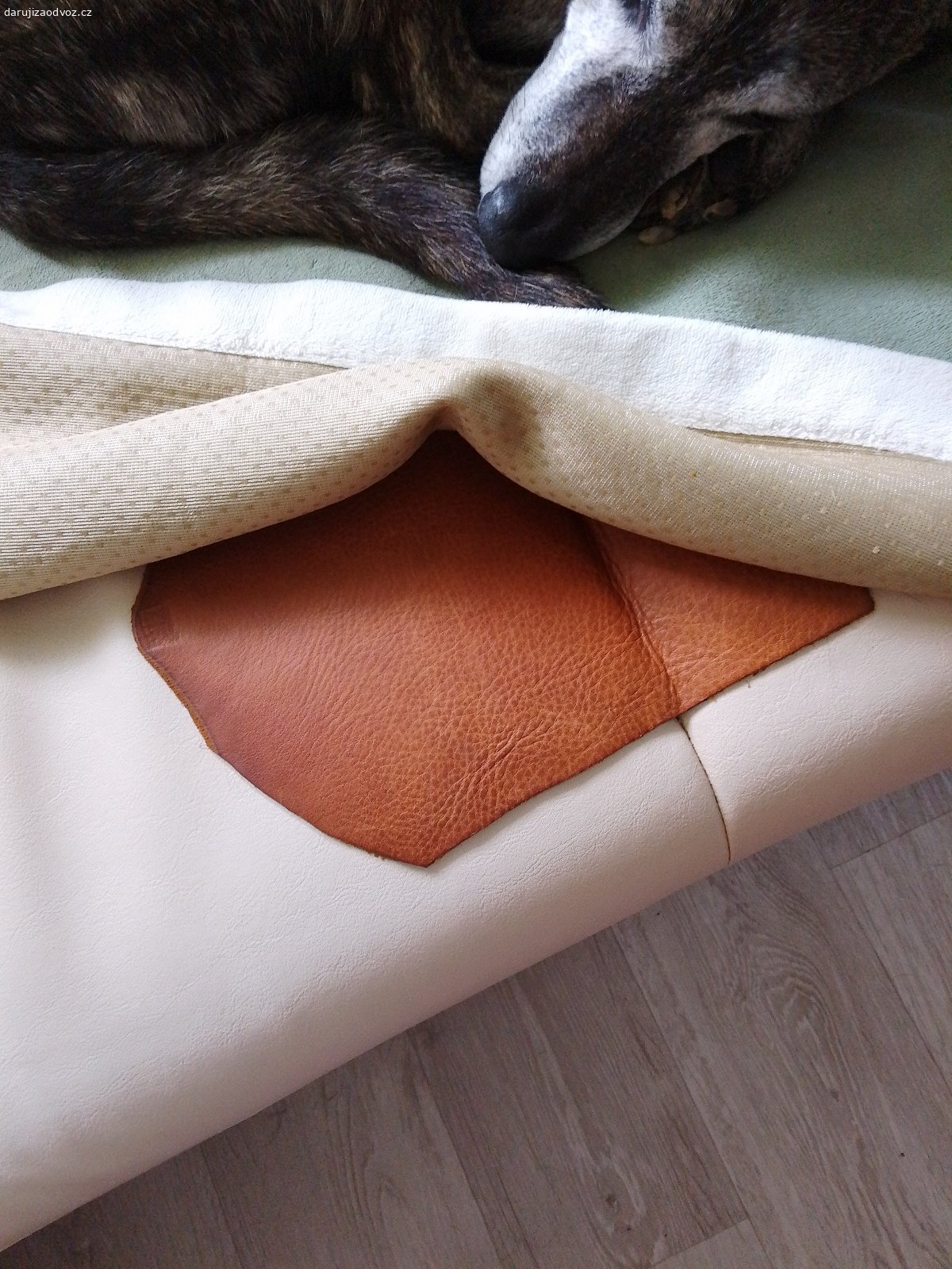 Daruji gauč. Nehodí se někomu? Je pohodlný. Kdo bude mít čas tak si ho může nechat i přečalounit