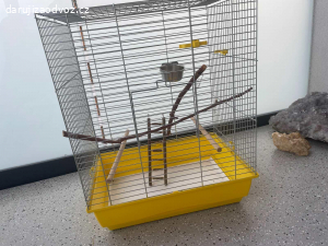 Daruji klec po andulkách