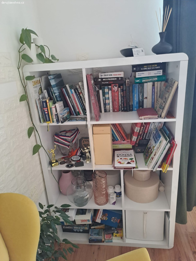 Daruji knihovnu ve stylu Kallax