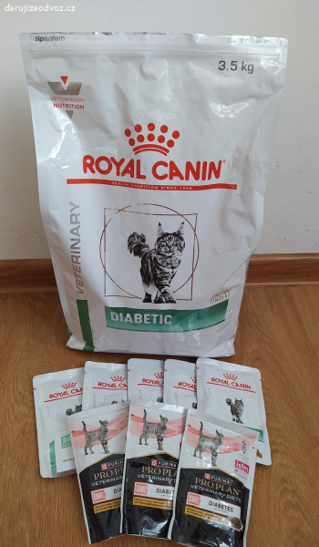 Daruji krmivo pro diabetickou kočku