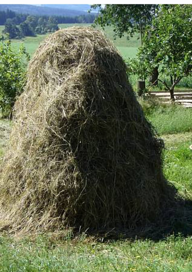Daruji letošní seno