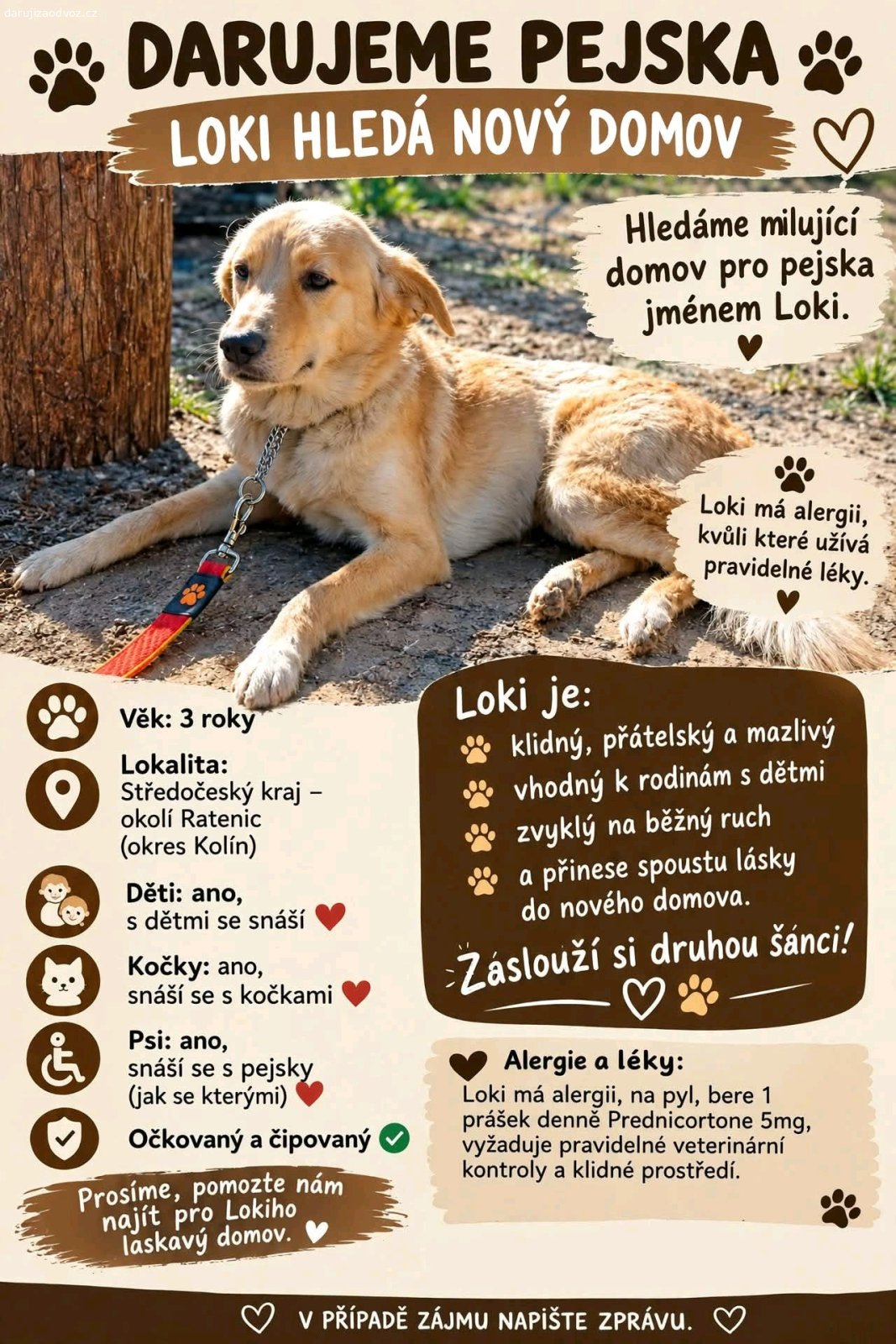 Darují Loki. Druh: Pes i Dog
Plemeno: Kríženec 
Barva: Krémová
Musíme stěhování.Docela to spěchá.Napište zprávu prosím ne Gmail.