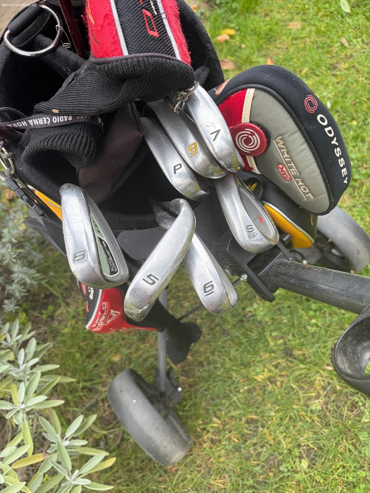 Daruji pánský golfový set. Jde o starší hole, na oceli, používané asi deset let, nyní už jedenáctým rokem leží. Značka Cobra.