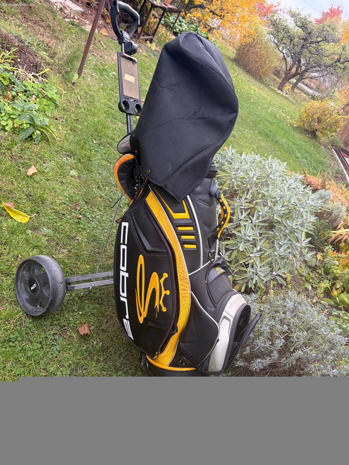 Daruji pánský golfový set. Jde o starší hole, na oceli, používané asi deset let, nyní už jedenáctým rokem leží. Značka Cobra.