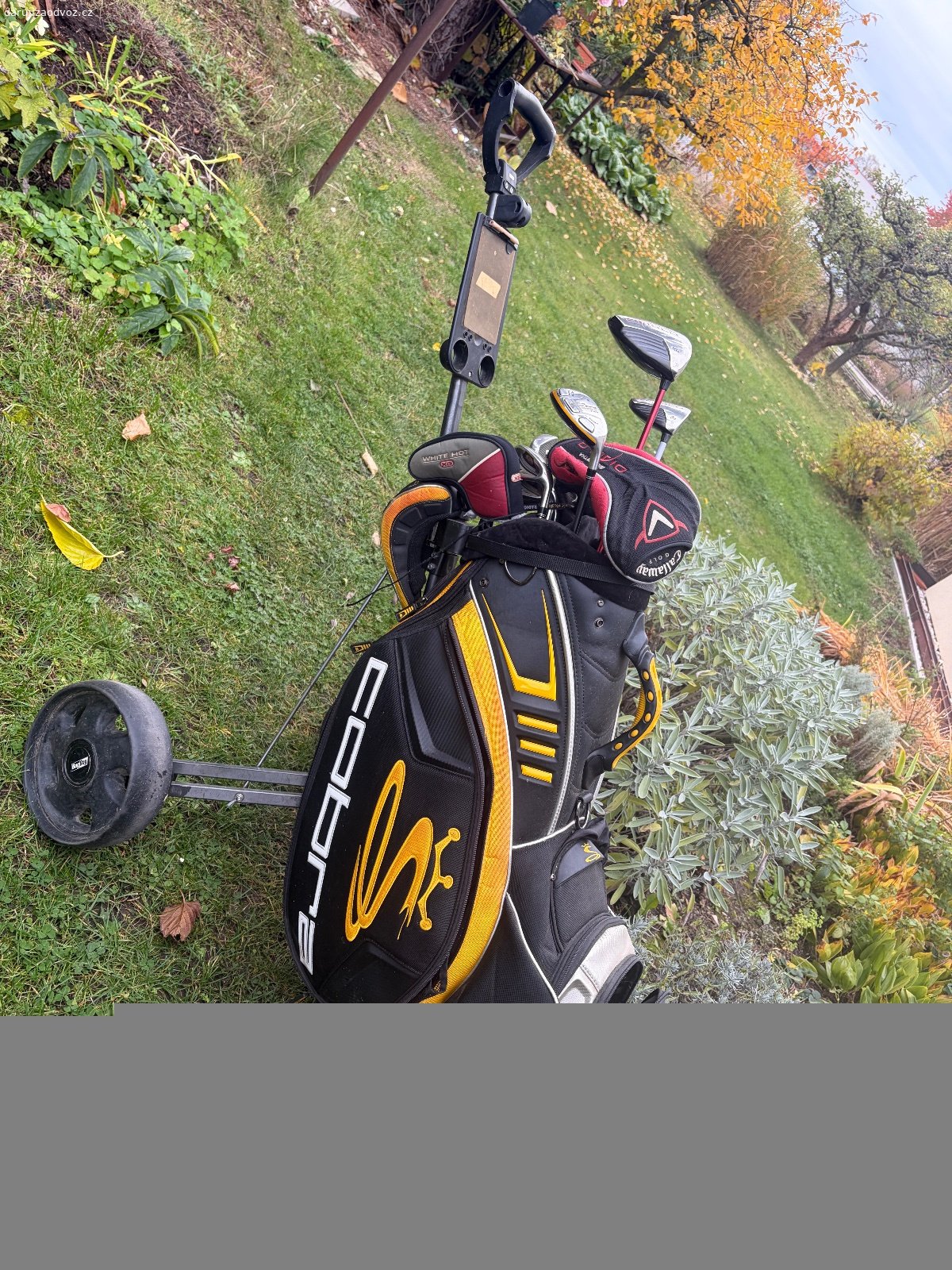 Daruji pánský golfový set. Jde o starší hole, na oceli, používané asi deset let, nyní už jedenáctým rokem leží. Značka Cobra.