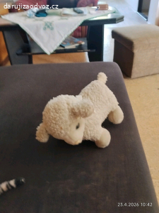 daruji plyšáky