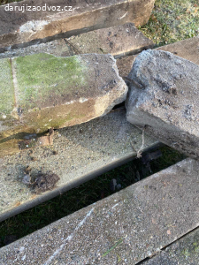 Daruji staré betonové plotové sloupky 8 ks + beton