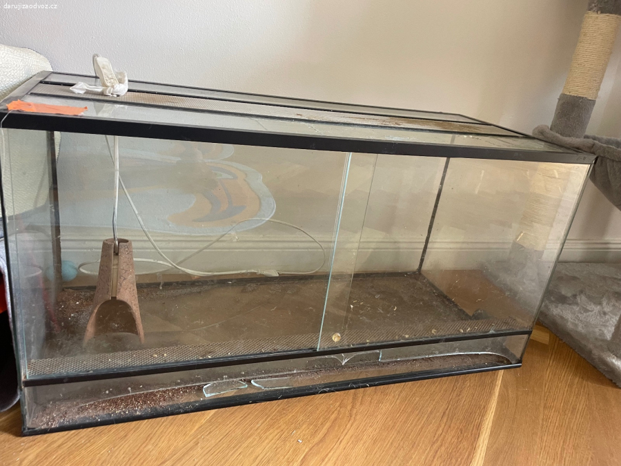 Daruji Terrarium