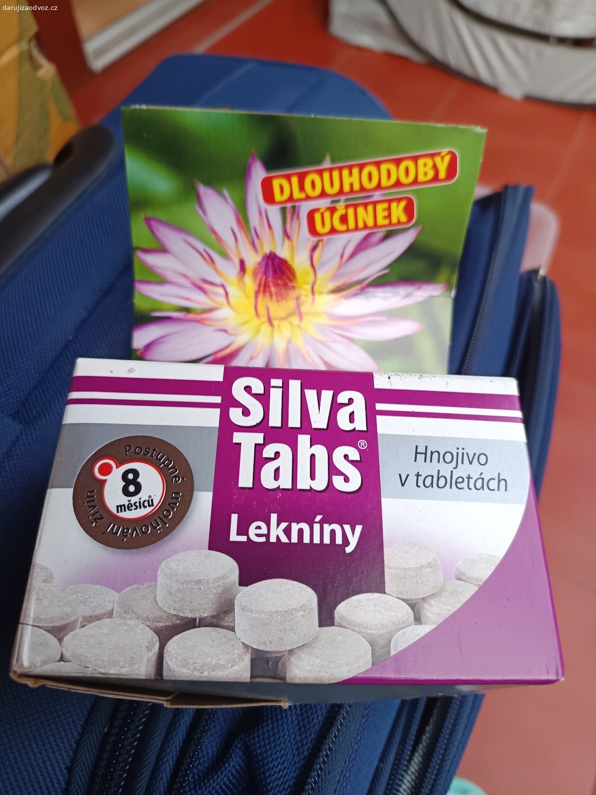 Daruji trpasličí červený leknín. Daruji trpasličí červený leknín vhodný do zahradního jezírka.
Rostlina je mladá, dosud neplně vzrostlá, vhodná k dalšímu pěstování a zakořenění v jezírku.
Leknín je mrazuvzdorný a při správné péči dobře roste i kvete. Ideální do menších i středně velkých jezírek.
K rostlině přidám i hnojivo pro lekníny zdarma.