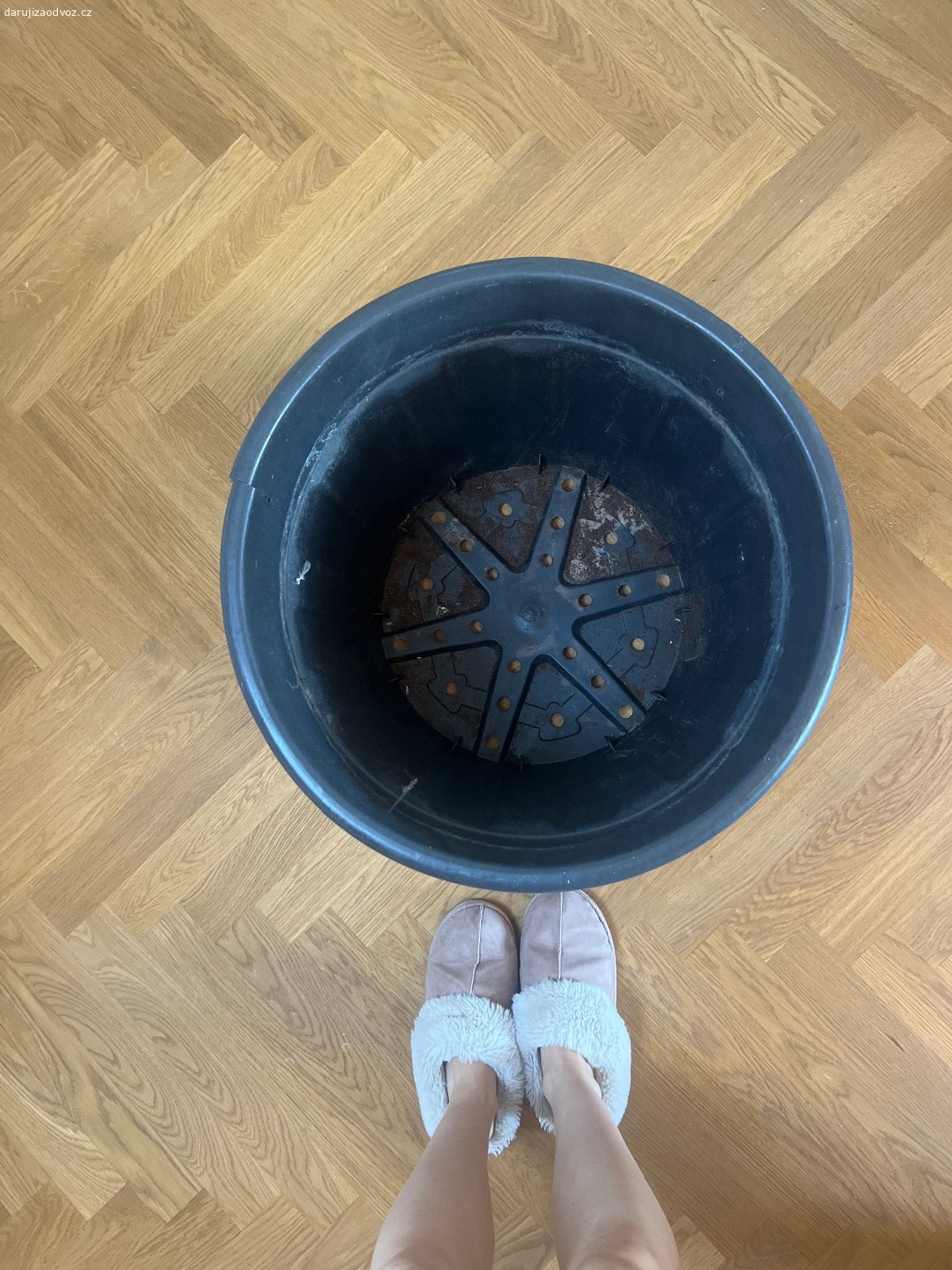 Daruji velky kvetinac. Daruji velky kvetinac