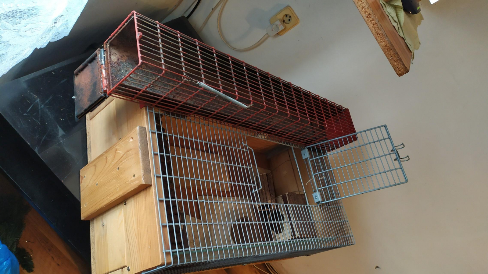 Vyměním za instantní  jihlavanku. sestavu pro pískomily nebo křečky klec plus skříňka