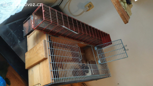 Vyměním za instantní  jihlavanku