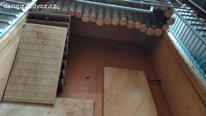 Vyměním za instantní  jihlavanku