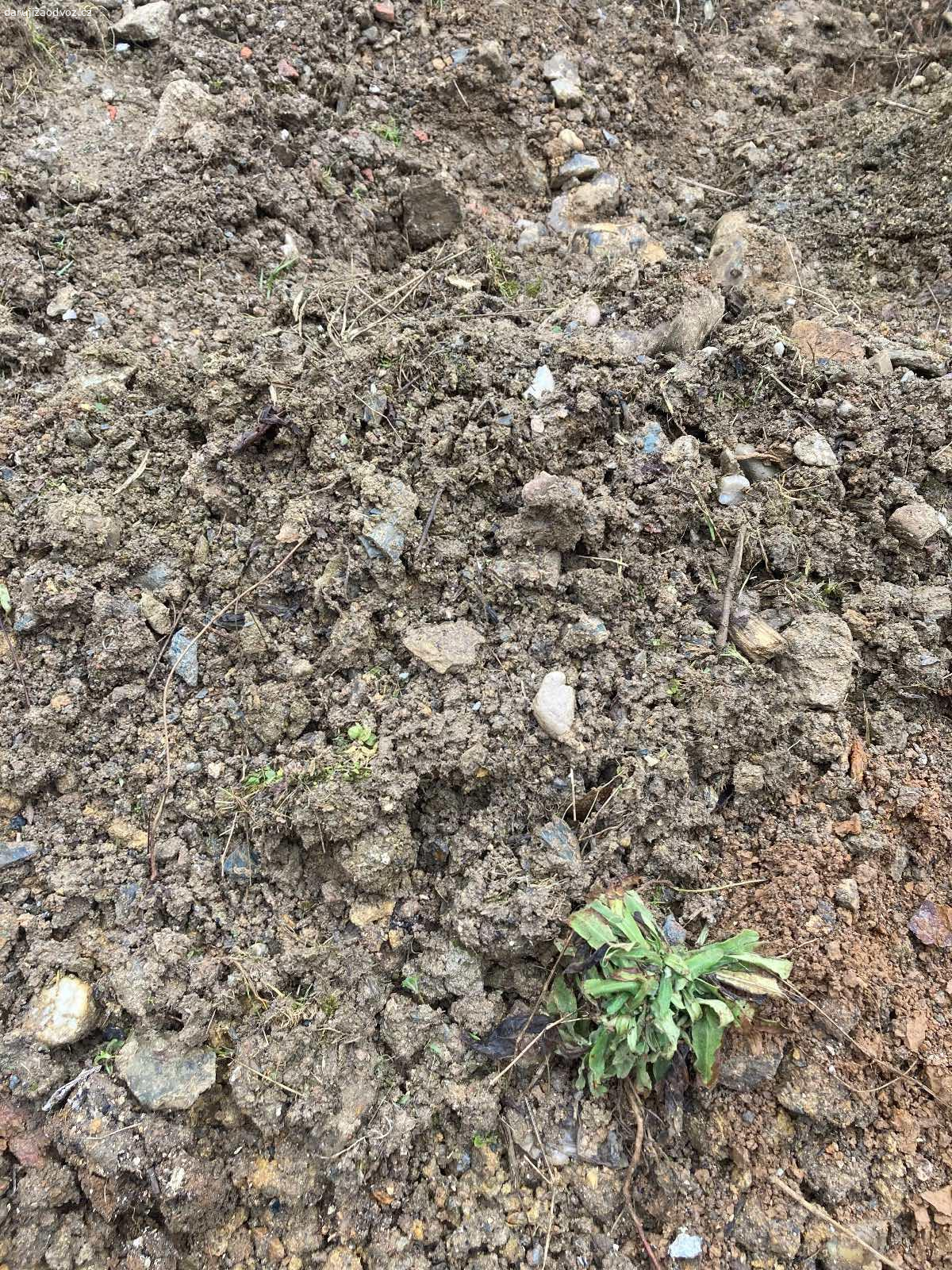 Daruji zeminu. Daruji zeminu za odvoz. Občas nějaký kámen nebo kousek cihly. 
Cca 25-30t. Nutno naložit vlastní technikou.