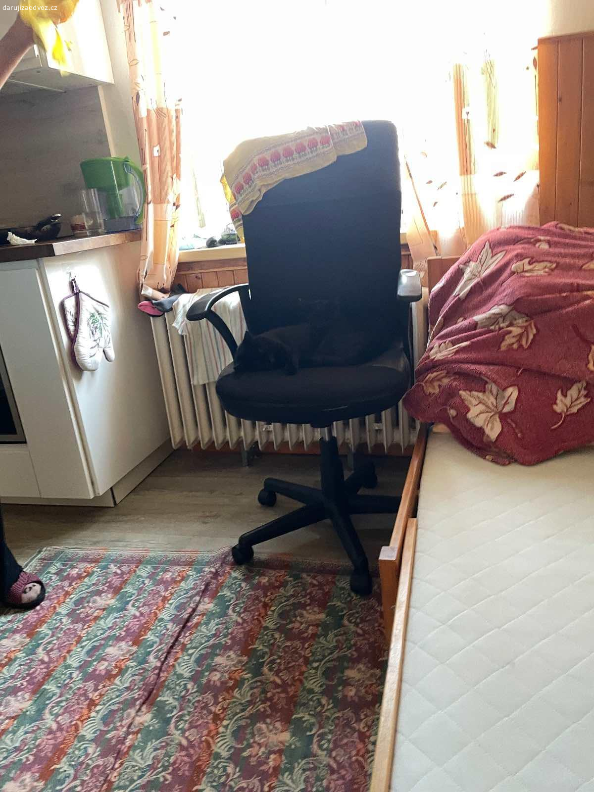 Daruju 2 kocourky. Jsou moc laskavé 2 kocourky je jim skoro 6 měsíců , vaha 2 kg jeden . Jmenují se Felix a Tom