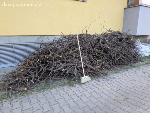 Dřevo z 20letého keře (skalník)