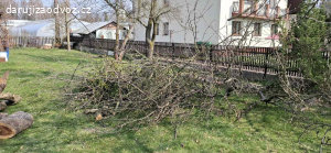 Dřevo ZDARMA za odvoz