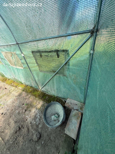 Fóliovník / pařník za odvoz