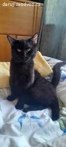 Jmenuji se Tom