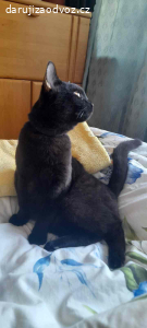 Jmenuji se Tom