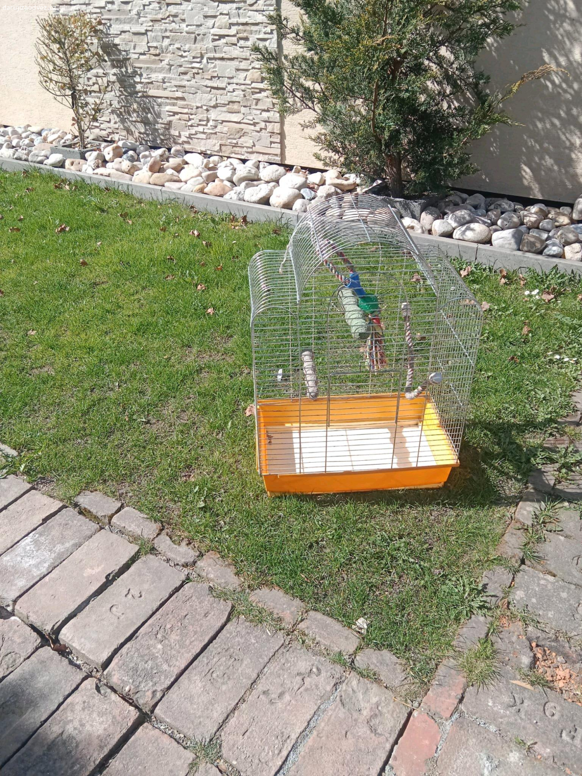 Klec pro papouška. daruji přepravní klec pro papouška, starší nekde trochu prasklá ale použitelná bez problémů