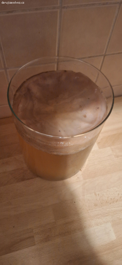 kombucha scoby