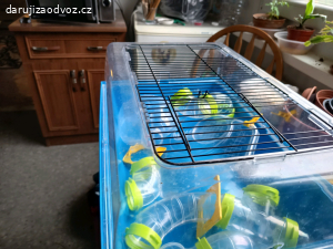 křeček + box