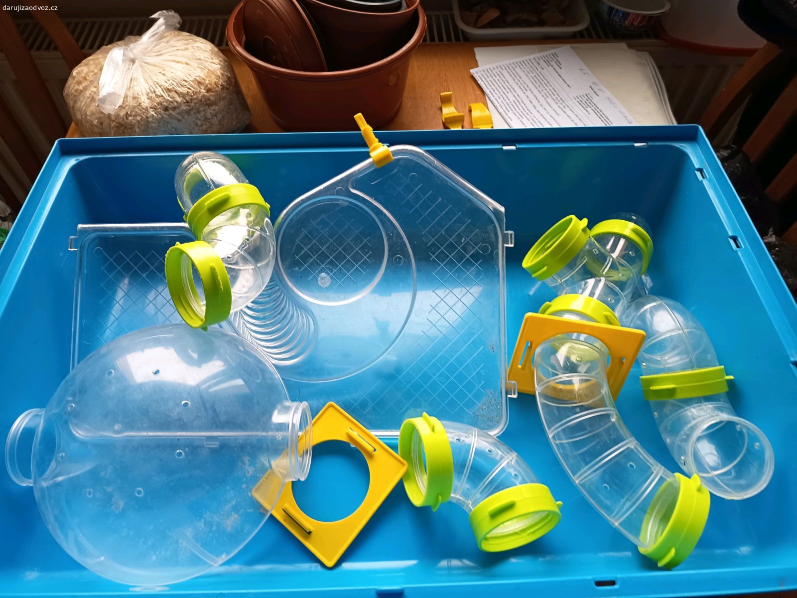 křeček + box. půlroční a přidám plast box