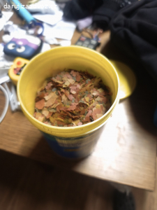 Krmení pro rybičky