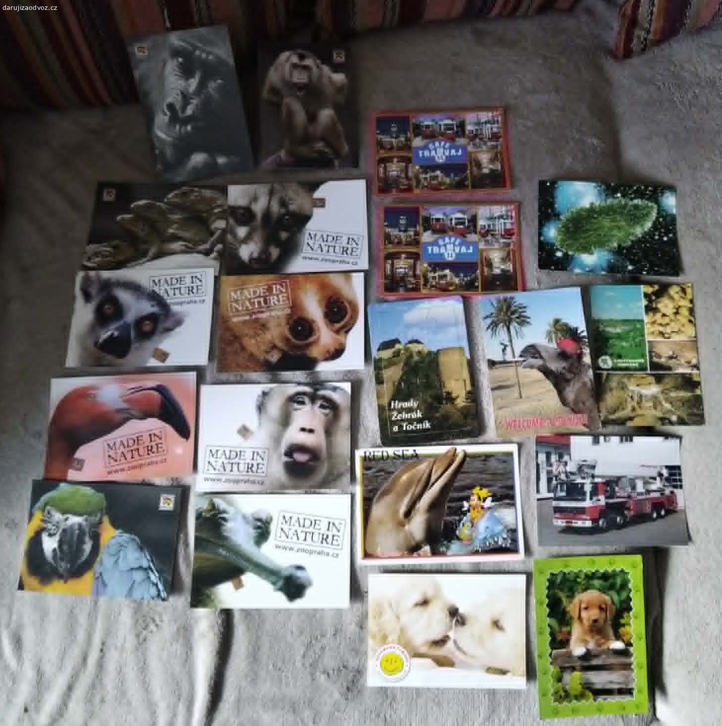 Mix nepopsaných pohlednic. Daruji zdarma sadu nových a nepopsaných pohlednic 20 ks. Sada obsahuje oblíbené kartičky zvířat ze ZOO Praha z edice MADE IN NATURE, pohledy hradů Točník a Žebrák (puzzle), hasičské auto, delfína nebo motivy štěňátek. Ideální pro sběratele moderních pohledů, pro děti na psaní z táborů nebo pro nadšence do Postcrossingu. K odvozu Praha 10-Strašnice