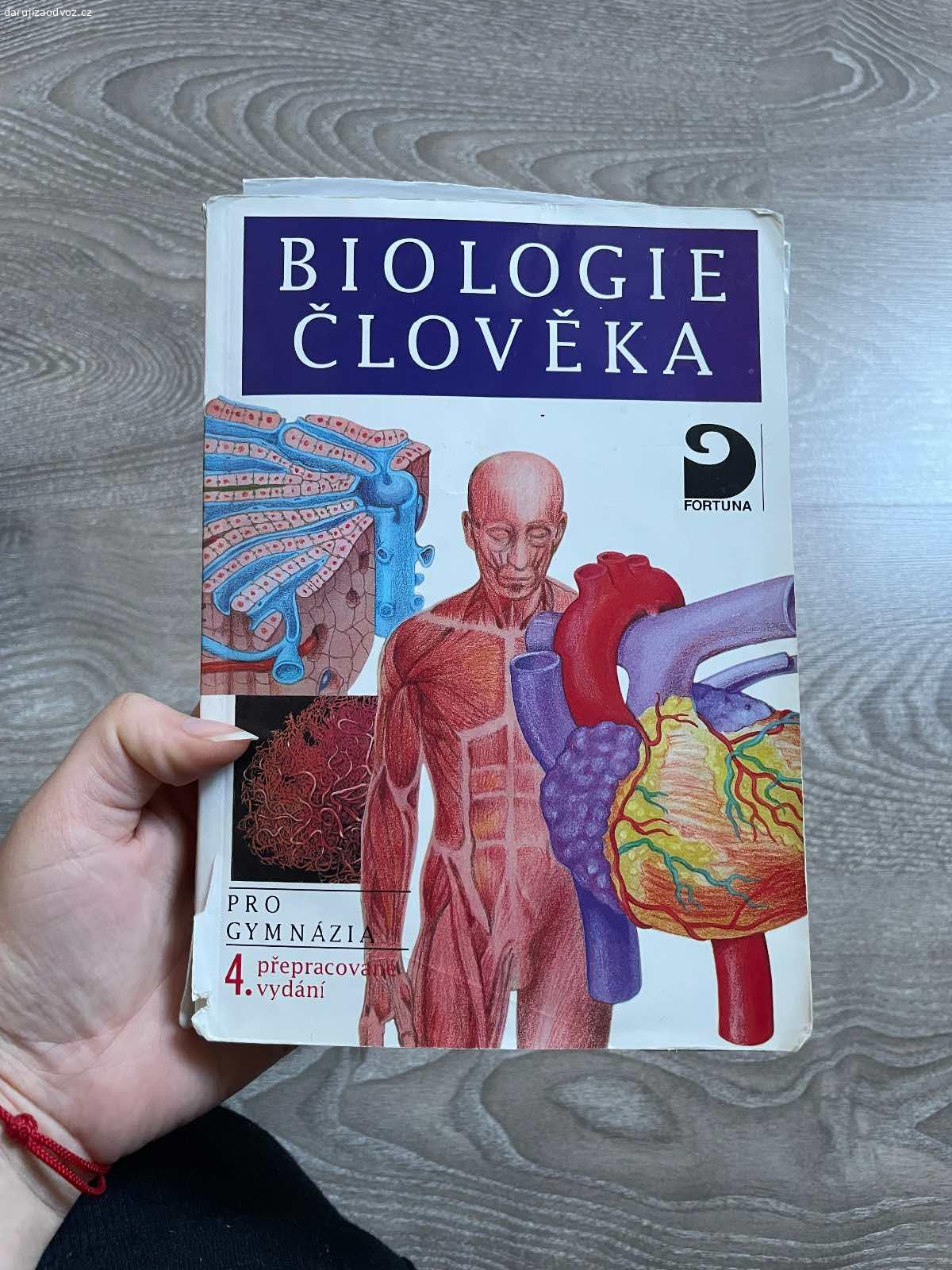 Mix. Nikam nevezu, prednost ma ten, kdo toho vezme vic naraz a rychleji.