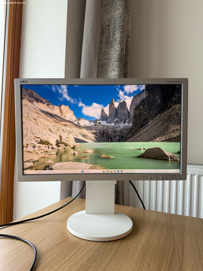 monitor NEC