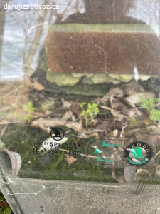 okýnka škoda a Thorax