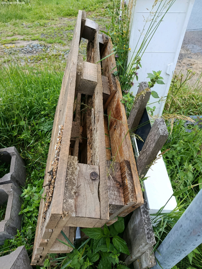 paleta
