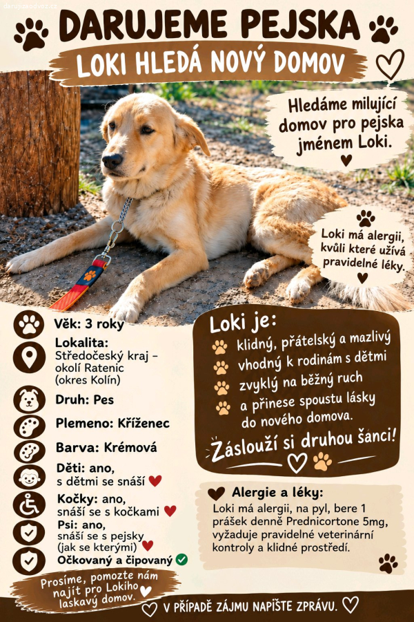 Pes i Dog kříženec jméno Loki