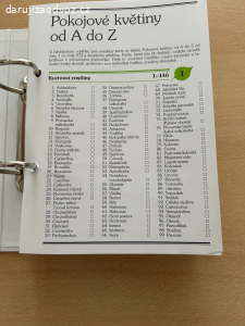 Pokojové květiny-podrobné popisy a návody na péči